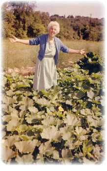 Transformational Gardening Ruth Stout Method